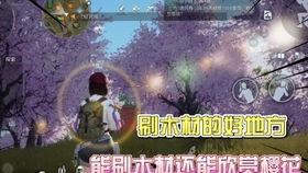 黎明觉醒皮肤最新爆料,揭秘全新皮肤“曙光破晓”的神秘魅力  第3张