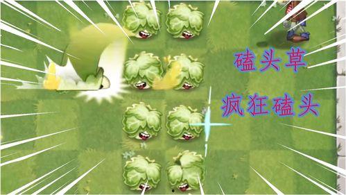 最新 植物爆料视频下载,最新爆料视频下载解析 第2张 最新 植物爆料视频下载,最新爆料视频下载解析 第2张