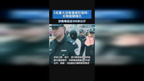 官方爆料缅北案件视频,官方视频揭露惊人内幕 第2张 官方爆料缅北案件视频,官方视频揭露惊人内幕 第2张