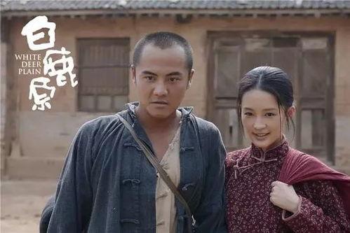 电视剧白鹿原 在线观看,穿越历史的长河,探寻家族命运之谜 第2张 电视剧白鹿原 在线观看,穿越历史的长河,探寻家族命运之谜 第2张