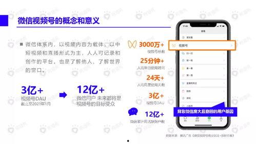 鱼尾零食爆料视频下载安装,下载安装攻略全解析  第3张