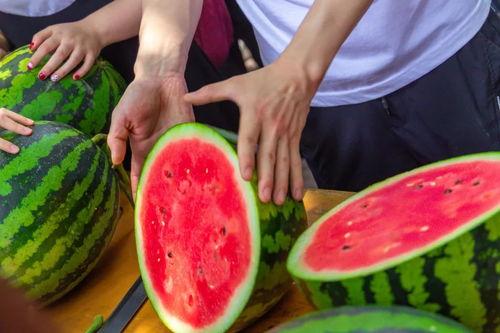 吃瓜网站免费入口,畅享娱乐新体验 第3张 吃瓜网站免费入口,畅享娱乐新体验 第3张