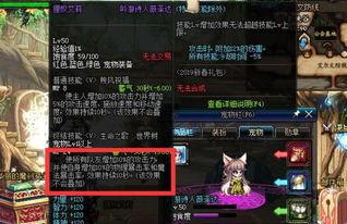 地下城最新宠物爆料,神秘新宠曝光，探索未知冒险之旅  第3张