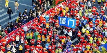 厦门马拉松爆料视频播放,精彩瞬间与感人瞬间大盘点  第2张