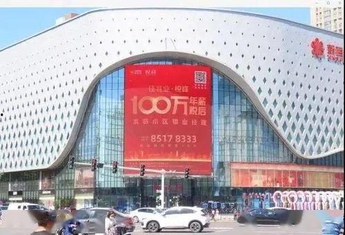 石家庄头条最新爆料,揭秘重大事件背后真相 第2张 石家庄头条最新爆料,揭秘重大事件背后真相 第2张