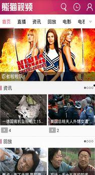 陈金鑫熊猫堂视频爆料,揭秘幕后真相