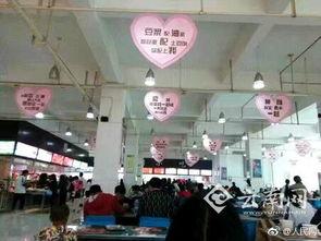 高校爆料昆明新闻,校园新闻聚焦热点事件 第3张 高校爆料昆明新闻,校园新闻聚焦热点事件 第3张