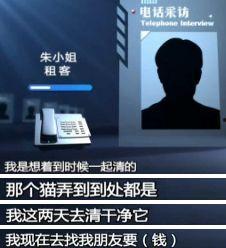 加拿大房东爆料视频,揭秘租房市场的惊人内幕  第3张