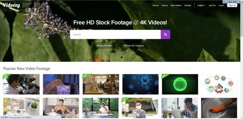 女子抖音爆料视频大全下载,揭秘网络热点背后的真相 第3张 女子抖音爆料视频大全下载,揭秘网络热点背后的真相 第3张