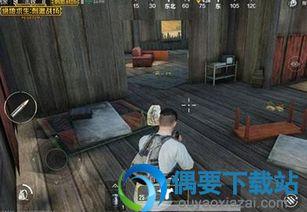 吃鸡新爆料最新视频大全,揭秘最新视频大全中的精彩瞬间  第3张