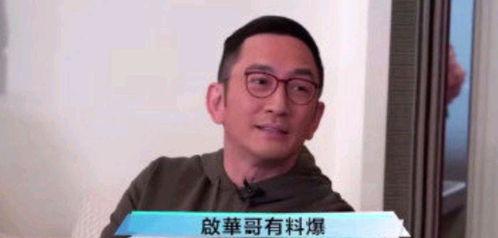 吴启华爆料娱乐圈内幕,吴启华曝惊人内幕，行业真相令人震惊  第3张