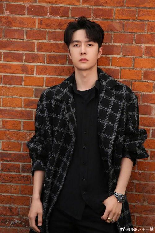 王坤最新爆料视频播放,事件背后惊人真相