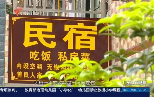 广东官方爆料新闻,重大事件背后真相揭晓 第3张 广东官方爆料新闻,重大事件背后真相揭晓 第3张