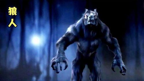 人和怪物在线观看,人与怪物在线惊悚之旅 第3张 人和怪物在线观看,人与怪物在线惊悚之旅 第3张