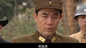 决战南京全集在线观看,全景再现历史巨变 第2张 决战南京全集在线观看,全景再现历史巨变 第2张