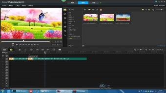 视频爆料素材大全无水印,一网打尽！  第2张
