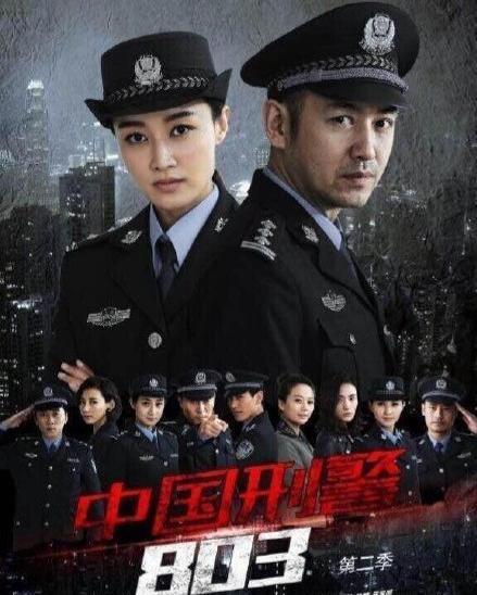 中国刑警在线观看,揭秘警界风云,正义之光闪耀 第2张 中国刑警在线观看,揭秘警界风云,正义之光闪耀 第2张