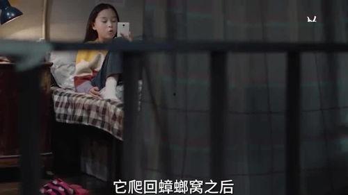 三姐被打爆料视频大全,视频揭露惊人真相  第2张