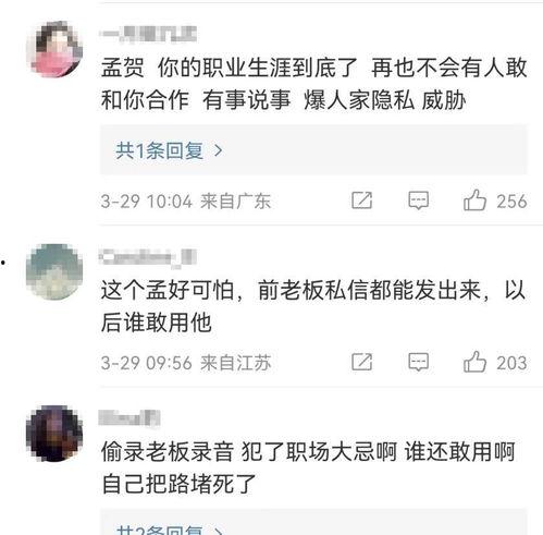 孟贺最新爆料违法吗,违法与否成焦点
