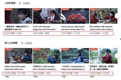 网红炒作爆料视频下载网站,揭秘幕后真相 第3张 网红炒作爆料视频下载网站,揭秘幕后真相 第3张