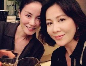 爆料王菲打牌视频大全,打牌视频大盘点