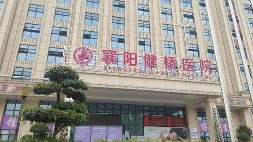 襄阳医院最新爆料新闻视频,揭秘事件真相与影响