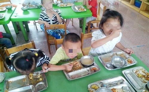 幼儿园吃饭爆料视频大全,温馨爆笑瞬间大盘点
