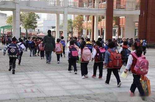 吴川小学爆料案件最新情况,真相逐步浮出水面 第2张 吴川小学爆料案件最新情况,真相逐步浮出水面 第2张