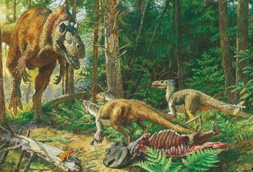 官方爆料恐龙时代视频大全,官方爆料视频大全精彩回顾