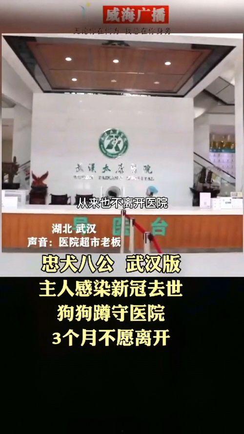 平民正能量热点爆料视频,揭秘热点爆料视频中的感人瞬间 第2张 平民正能量热点爆料视频,揭秘热点爆料视频中的感人瞬间 第2张