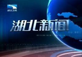 湖北广播电视台爆料新闻,揭秘重大新闻事件背后真相  第2张