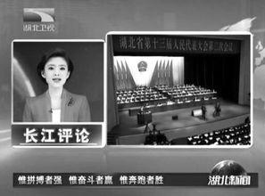 湖北广播电视台爆料新闻,揭秘重大新闻事件背后真相  第3张