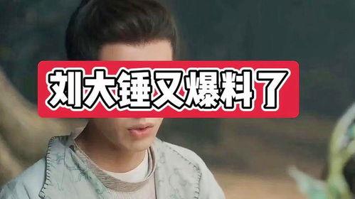 刘大锤八卦爆料视频大全