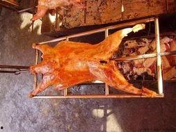 烤全羊进价爆料视频播放,视频爆料带你一探究竟  第3张