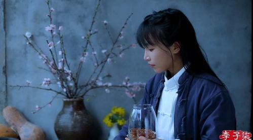 揭秘爆料博主视频大全下载,独家下载攻略全解析  第3张