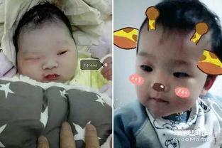 宝宝爆料丑照视频素材下载,揭秘萌娃搞笑瞬间 第2张 宝宝爆料丑照视频素材下载,揭秘萌娃搞笑瞬间 第2张