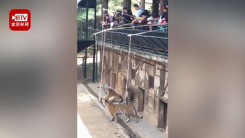 云南工作人员爆料视频,揭秘真实事件背后真相 第2张 云南工作人员爆料视频,揭秘真实事件背后真相 第2张