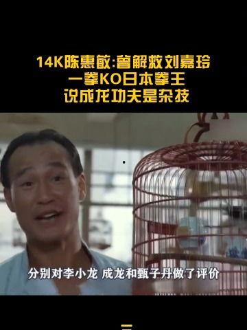 陈慧敏爆料视频大全,揭秘娱乐圈不为人知的幕后故事