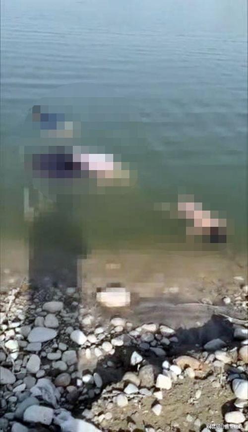 多人爆料溺亡案例视频  第3张