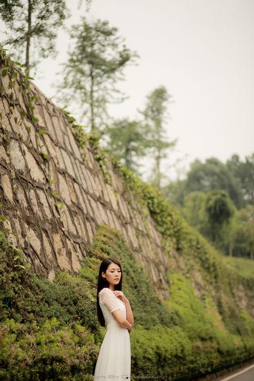 心墙在线观看,揭秘心灵防线背后的情感纠葛