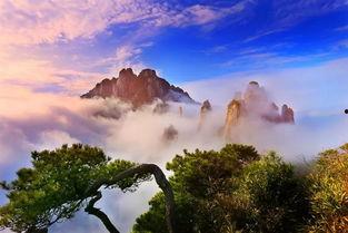 三清山旅游爆料最新消息,最新爆料揭示神秘美景与特色活动