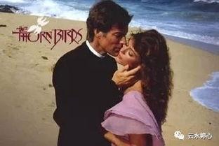 韩剧荆棘鸟在线观看,韩剧在线观看,情感纠葛中的爱与救赎 第2张 韩剧荆棘鸟在线观看,韩剧在线观看,情感纠葛中的爱与救赎 第2张