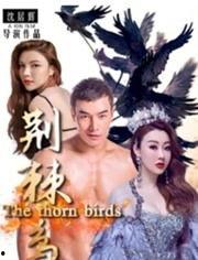 韩剧荆棘鸟在线观看,韩剧在线观看,情感纠葛中的爱与救赎 第3张 韩剧荆棘鸟在线观看,韩剧在线观看,情感纠葛中的爱与救赎 第3张