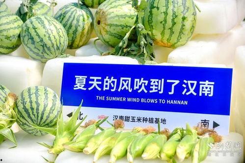 武汉吃瓜免费网站,揭秘城市美食圈的秘密花园 第2张 武汉吃瓜免费网站,揭秘城市美食圈的秘密花园 第2张