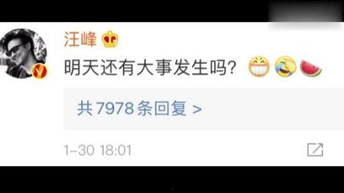 娱乐圈吃瓜网站是什么,揭秘明星幕后故事与八卦传闻  第3张