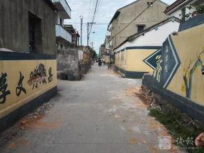 石家庄围墙爆料事件视频,揭秘背后真相  第1张