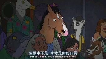 马男波克杰在线观看,在线观看，探索奇幻冒险之旅  第2张