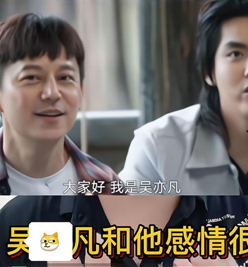 医生爆料何炅视频播放,揭秘背后惊人内幕 第2张 医生爆料何炅视频播放,揭秘背后惊人内幕 第2张